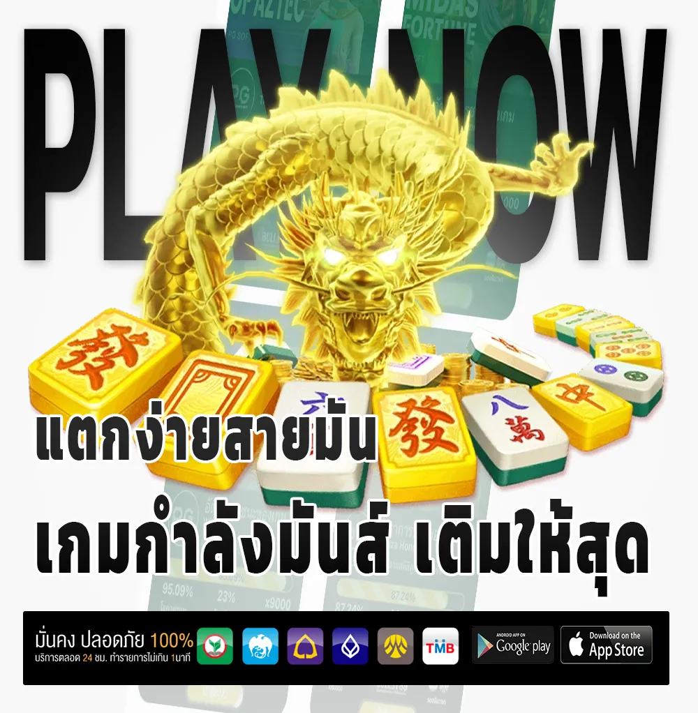 vr 24 ไม่ผ่านเอเย่นต์